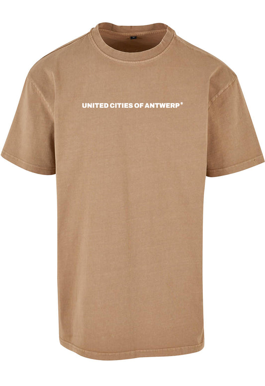 Men's oversized T wit logo - acid washed