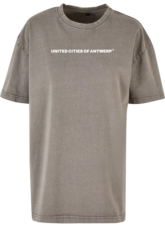 Women's oversized T wit logo - acid washed